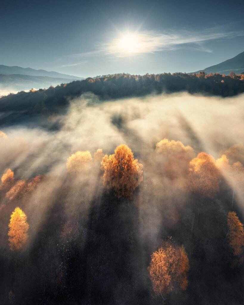 aerial-view-of-beautiful-orange-trees-on-the-hill-8ZMYC5U.jpg